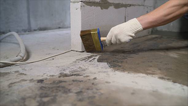 SJ Waterproofing Pros Exterior Waterproofing coverage map for Ovid, MI and surrounding area